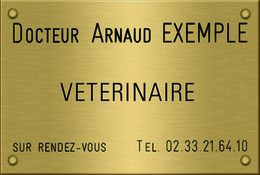 04101001