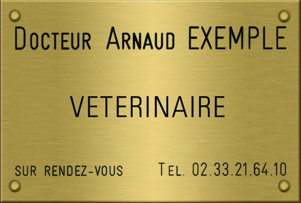 04101001